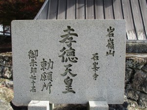 IMG_7011-1