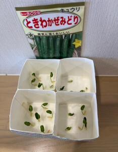 image9