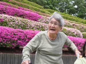 つつじ2